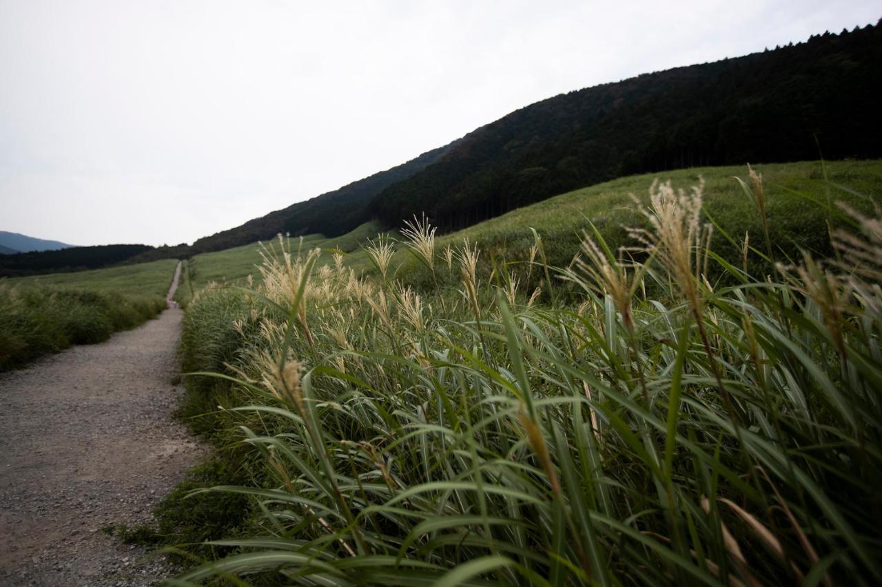 Hotel Sengokuhara 533 Hakone Kültér fotó